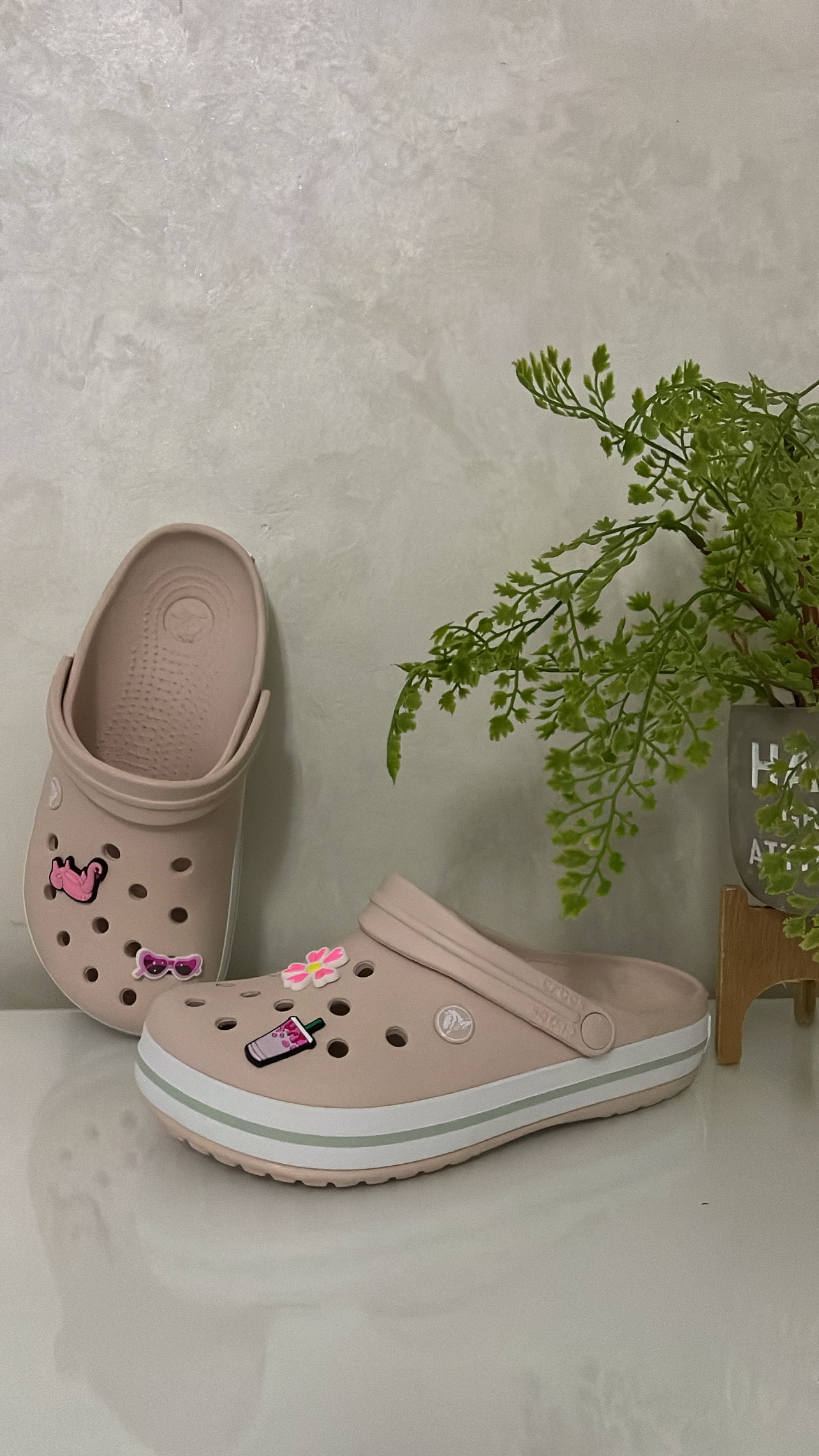 Crocband Rose