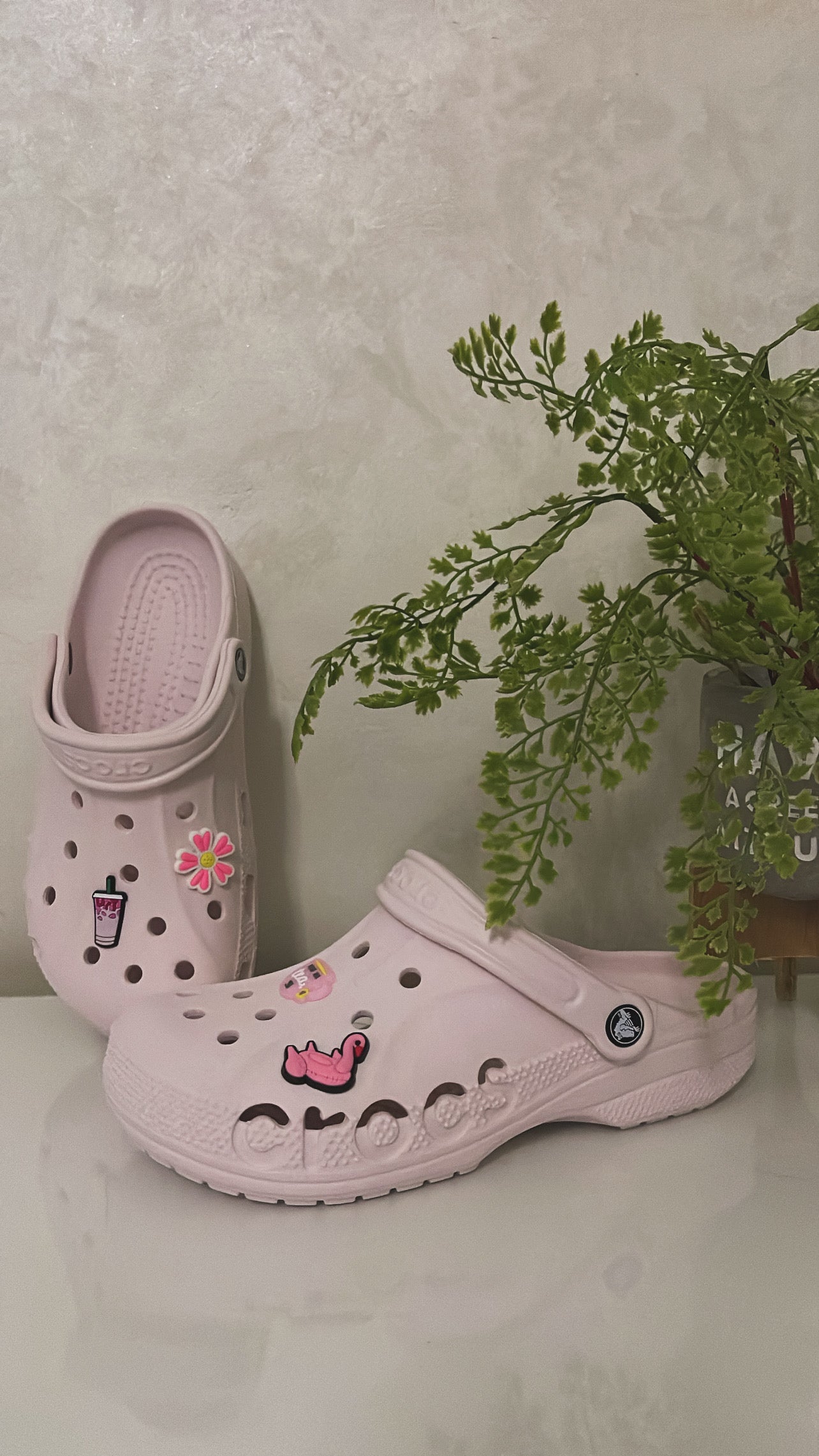 Baya clog rose